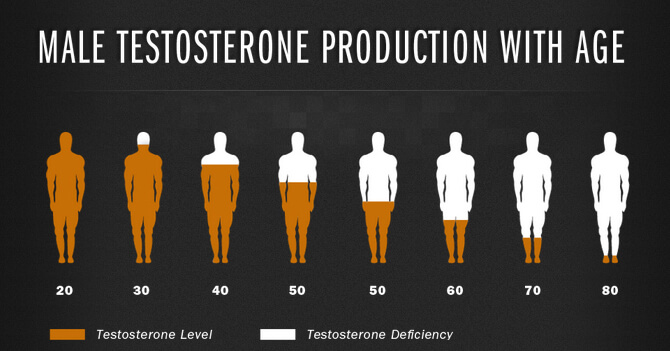 kaip testosteronas veikia erekciją kas turėtų turėti varpą