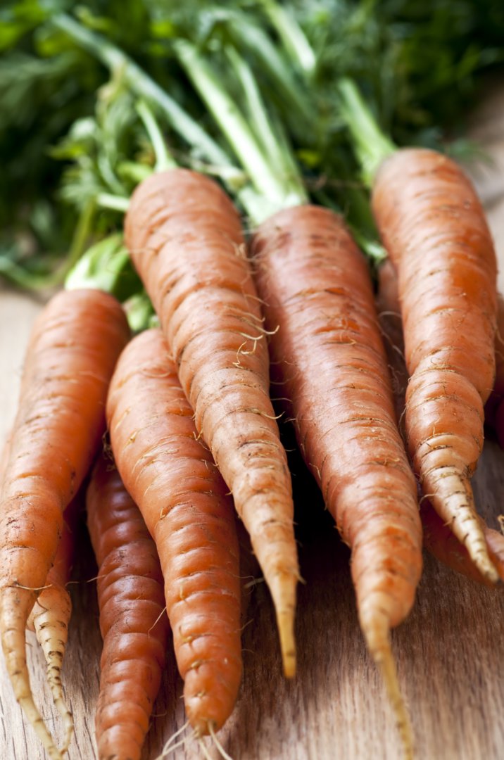 morkų ir varpos augimas patikrino kaip padidinti varpa